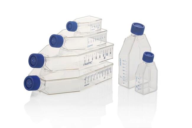 Thermo Scientific™ Nunc™ EasYFlask™ 细胞培养瓶 156367